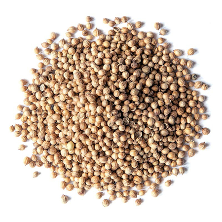 Picture of GG Coriander Dhaniya Whole Seed  100 gm