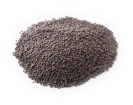 Picture of Black Mustard Seed (Induz) 250 gm