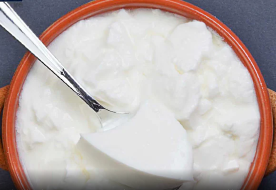 Picture of Dahi / Curd  Fresh Home made 450gm