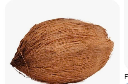 Picture of Nariyal / Coconut for Prayer